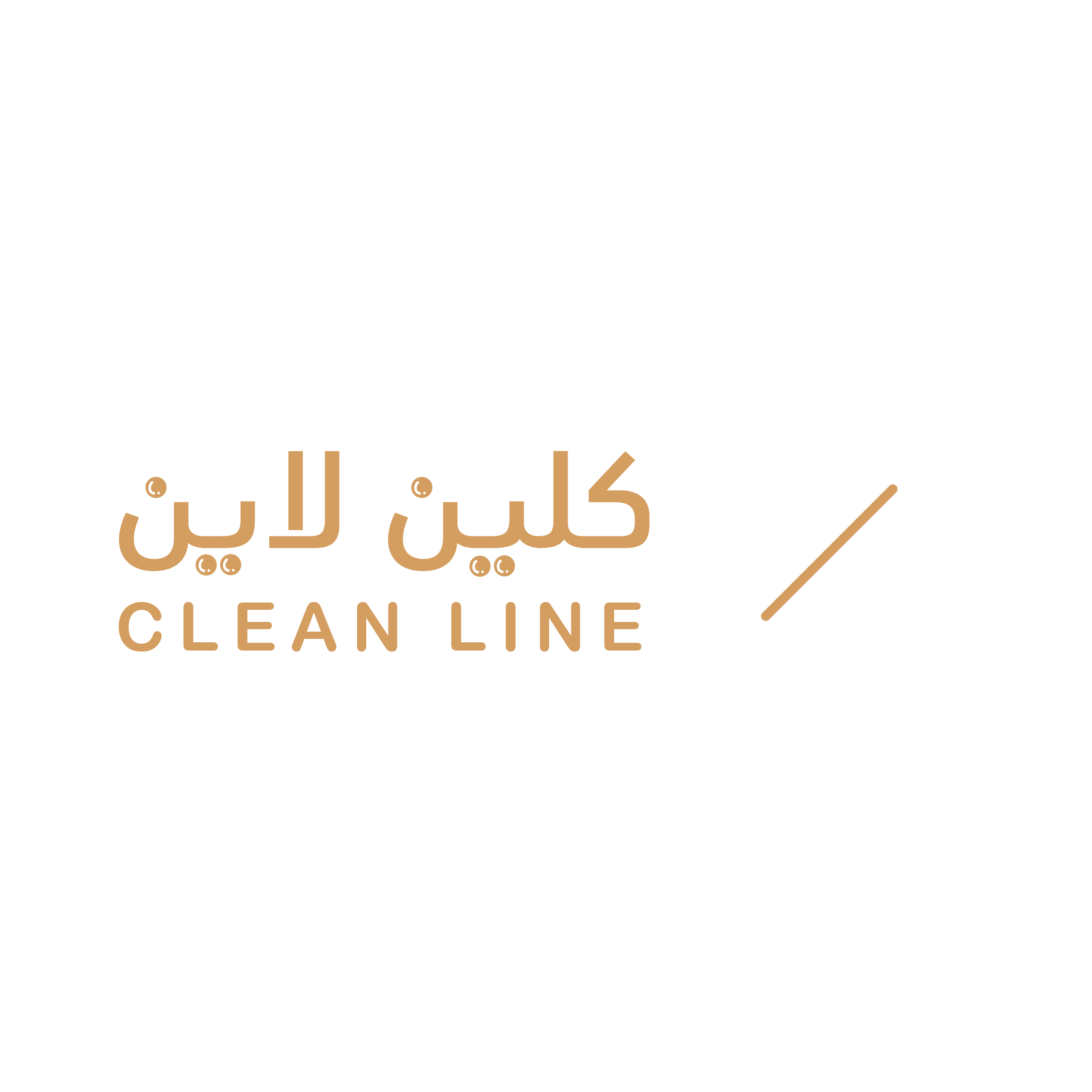 Clean Line Logo